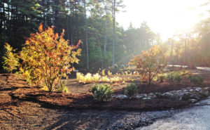 Stetson Meadows Cemetery, Norwell, MA